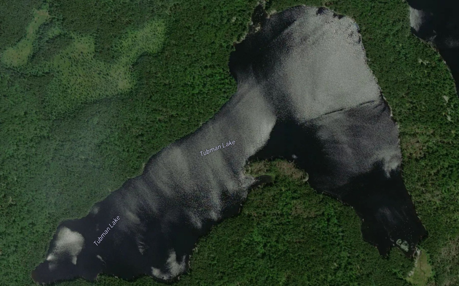 Satellite map of the Tubman Lake