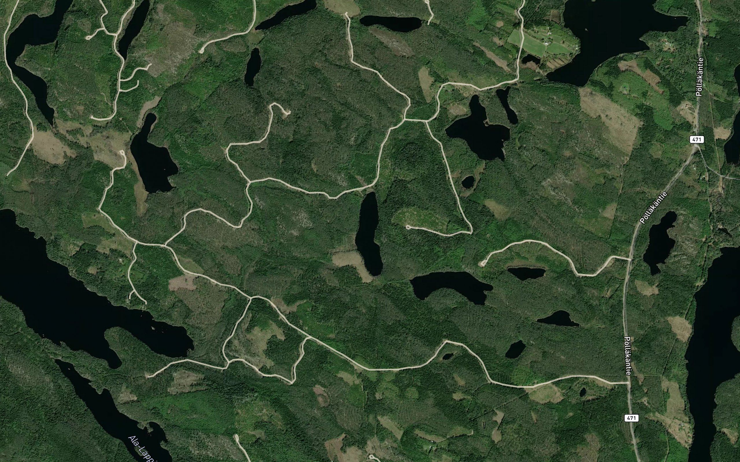 Sarkilampi