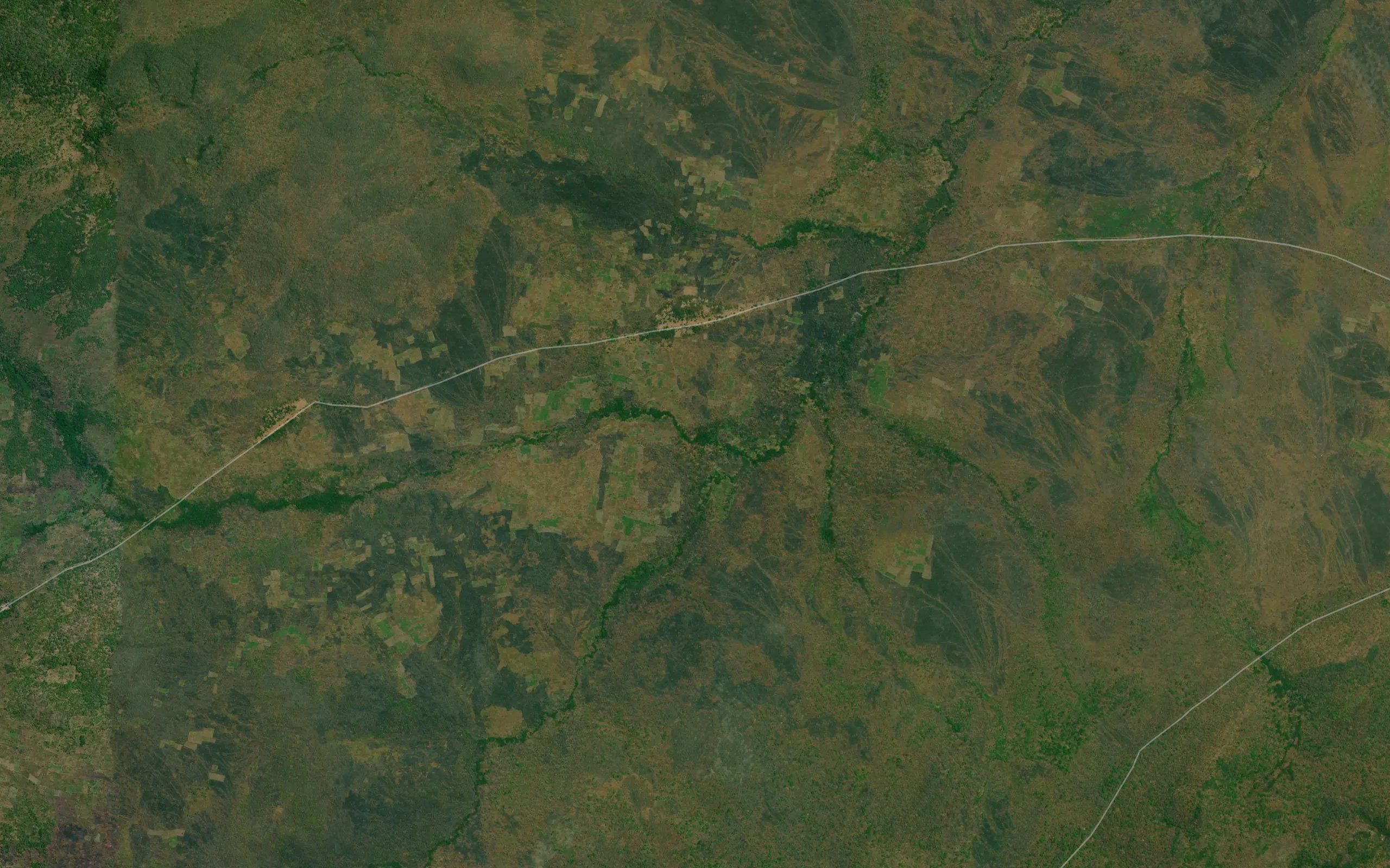 Kisonga