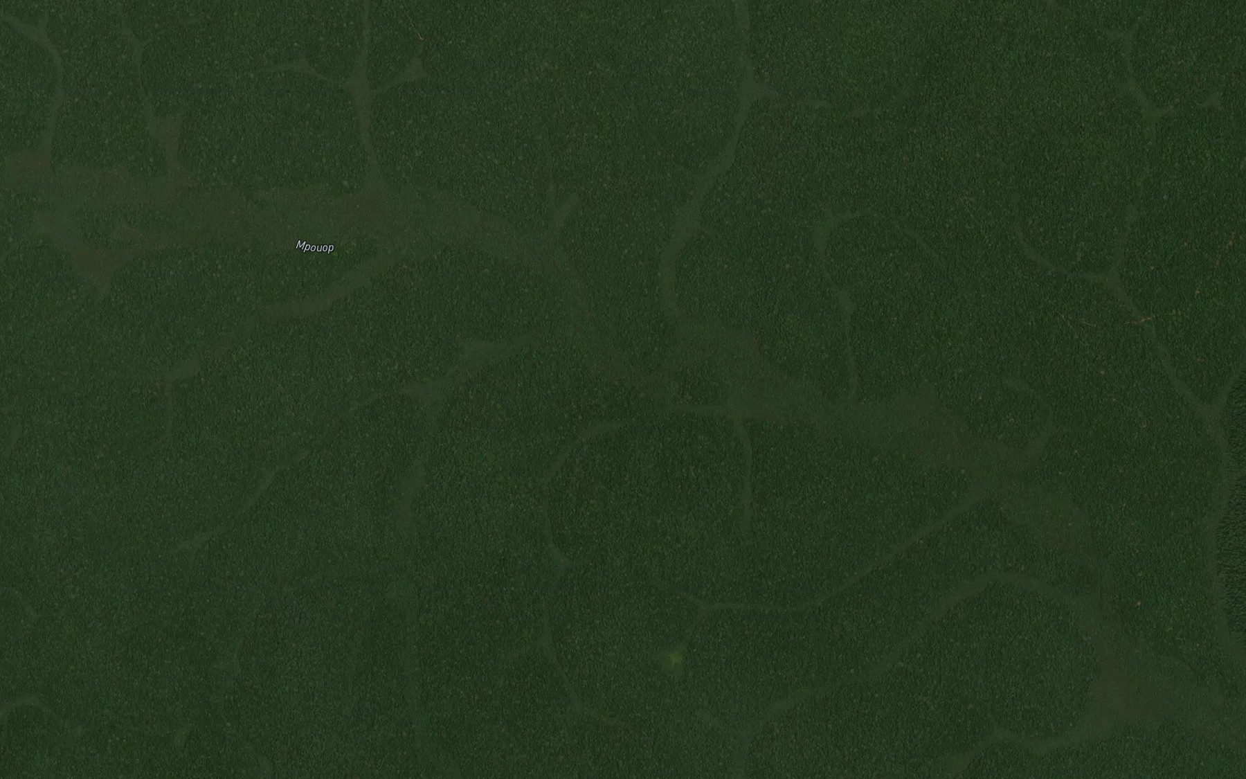 Satellite map of the Mouegougou