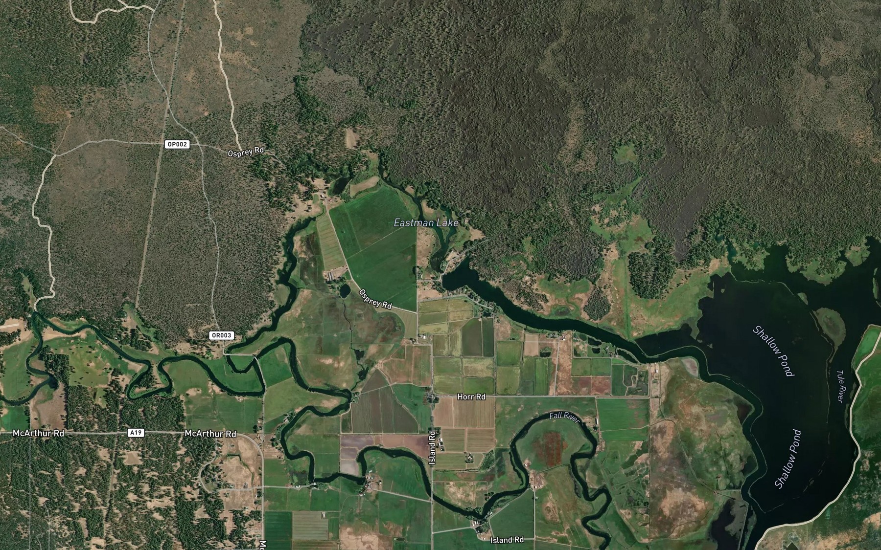 Satellite map of the Lava Creek