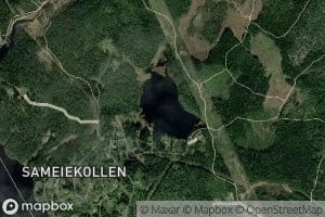 Skaltjern