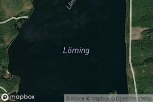 Loeming