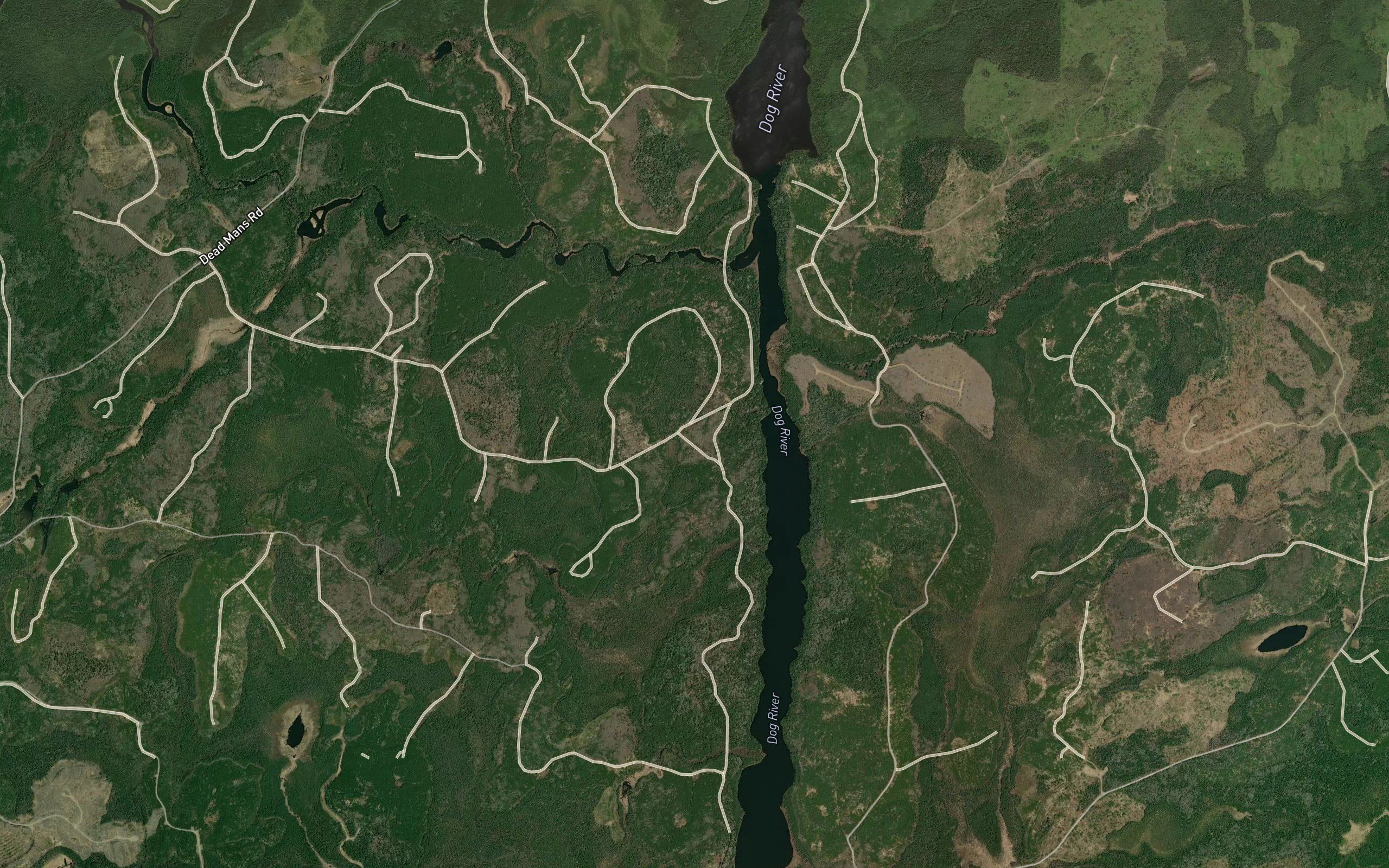 Muskeg Creek