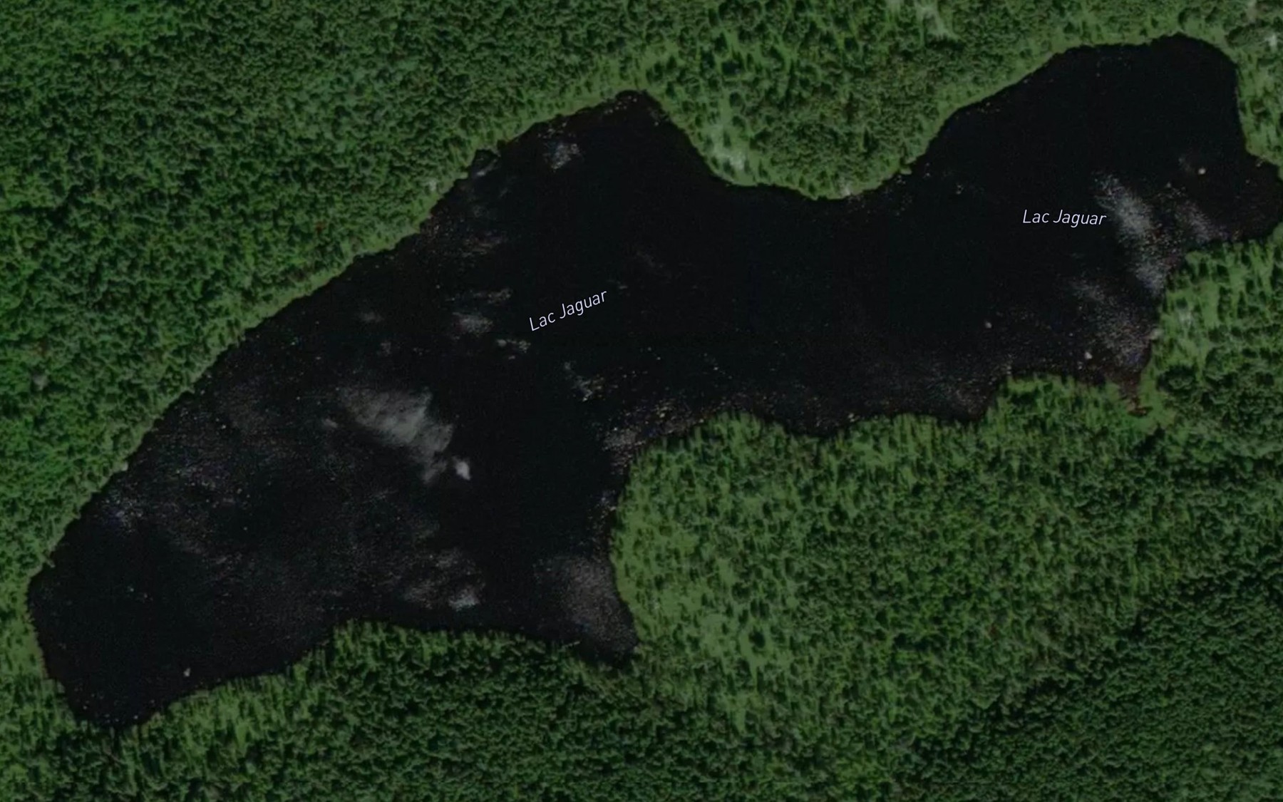 Satellite map of the Lac Jaguar