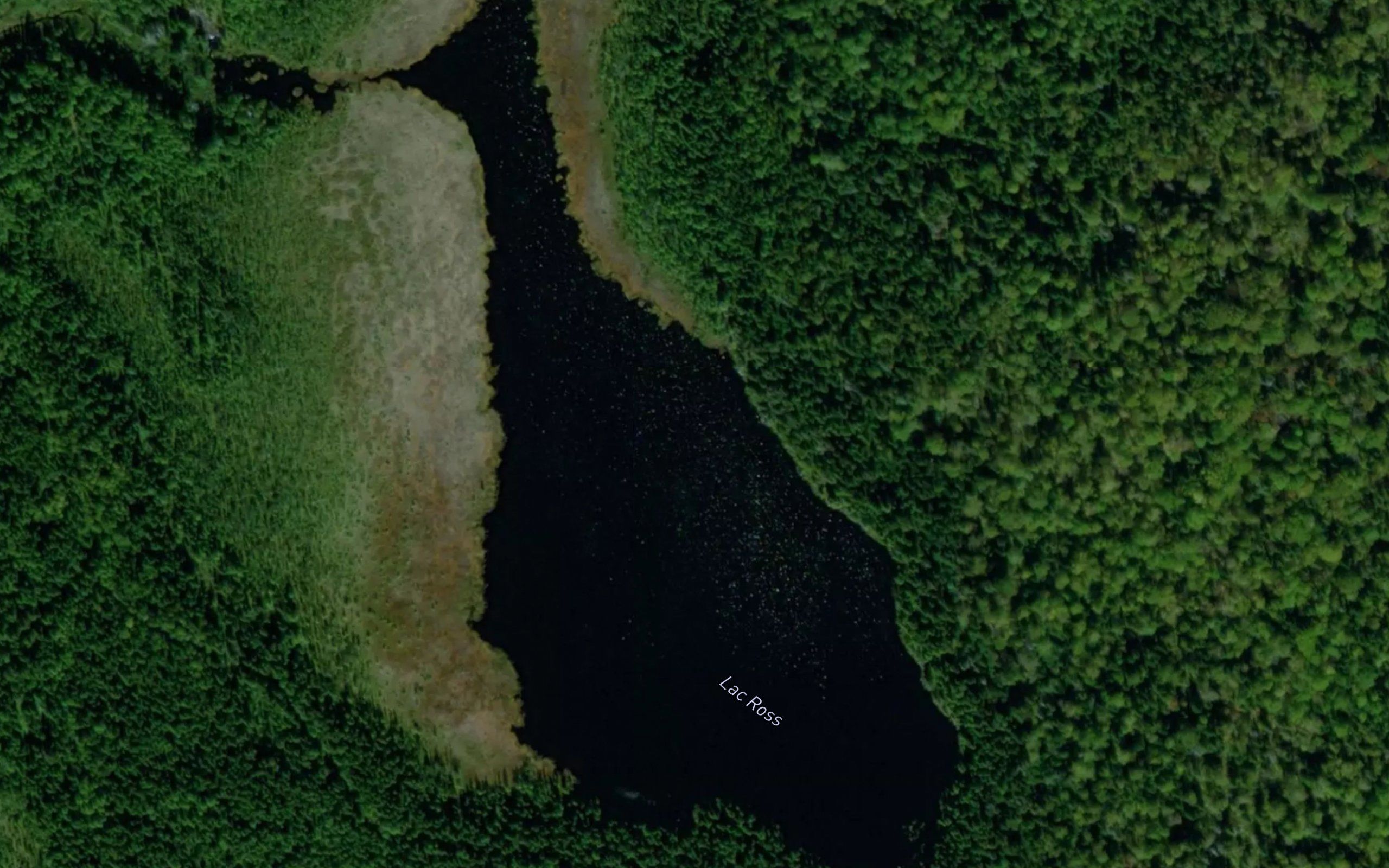 Lac Ross