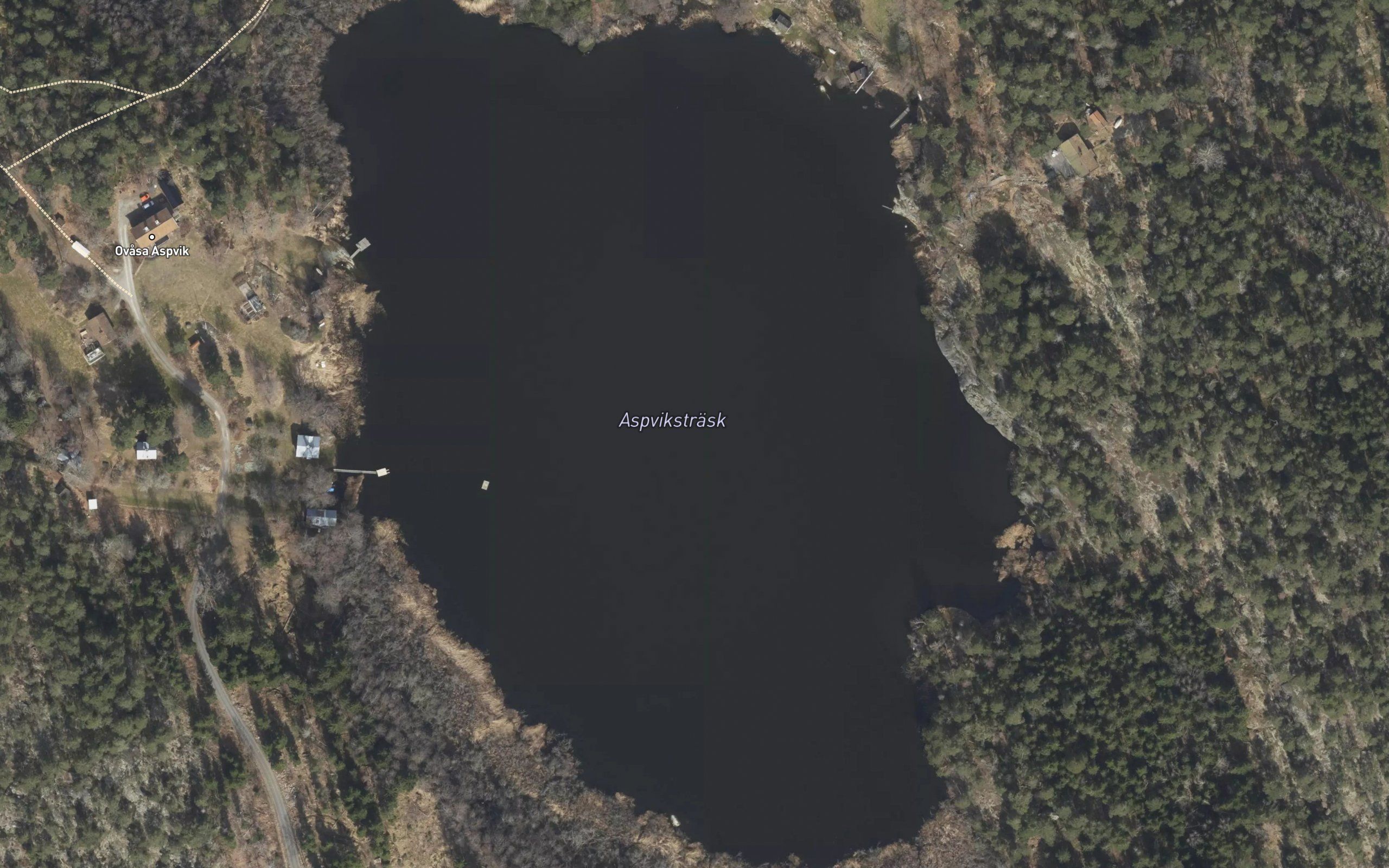 Aspvikstraesk
