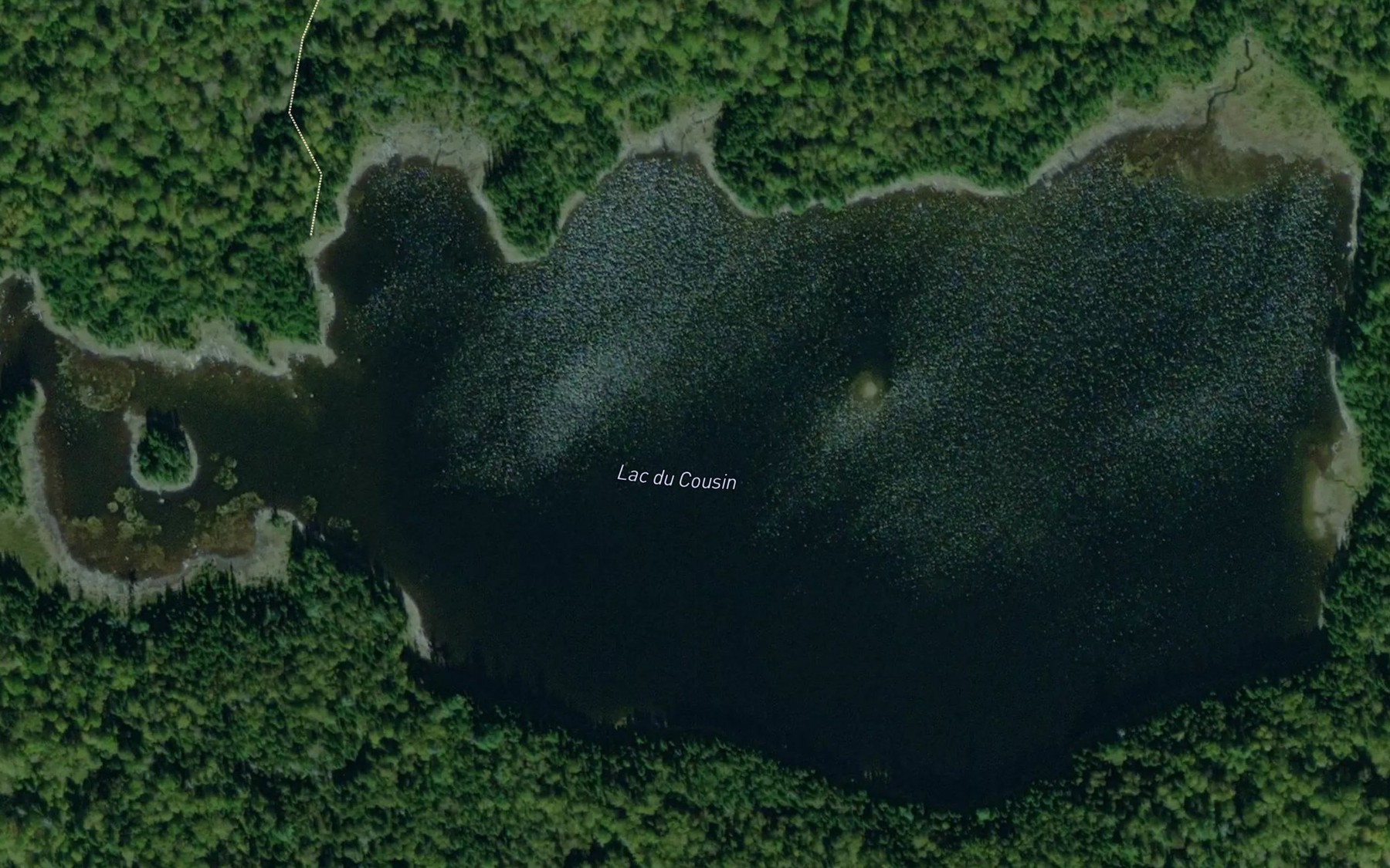 Satellite map of the Lac du Cousin