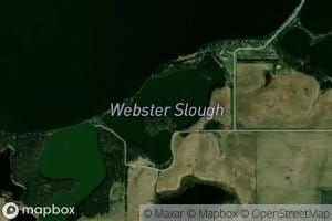 Webster Slough