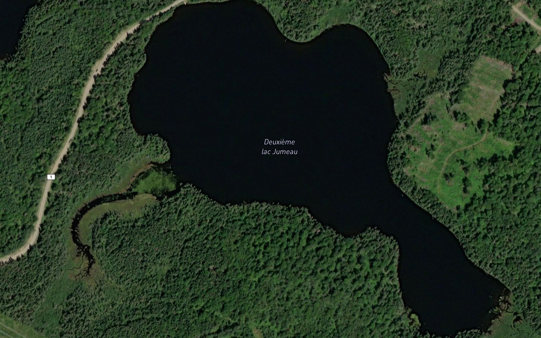 Satellite map of the Premier lac Jumeau