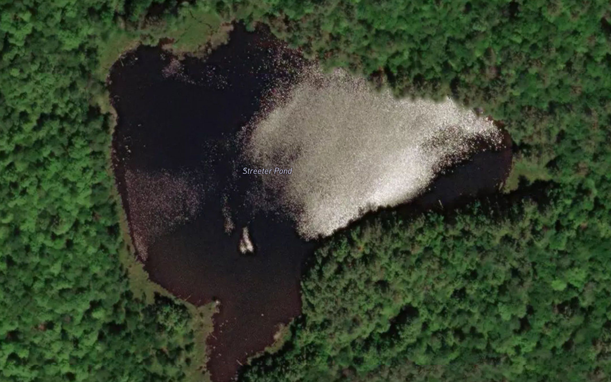 Streeter Pond
