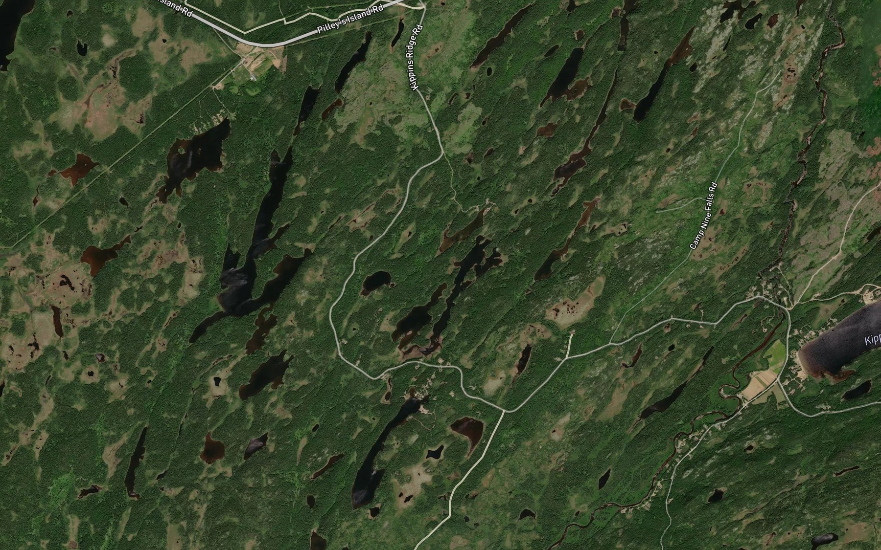 Satellite map of the Anthony Pond