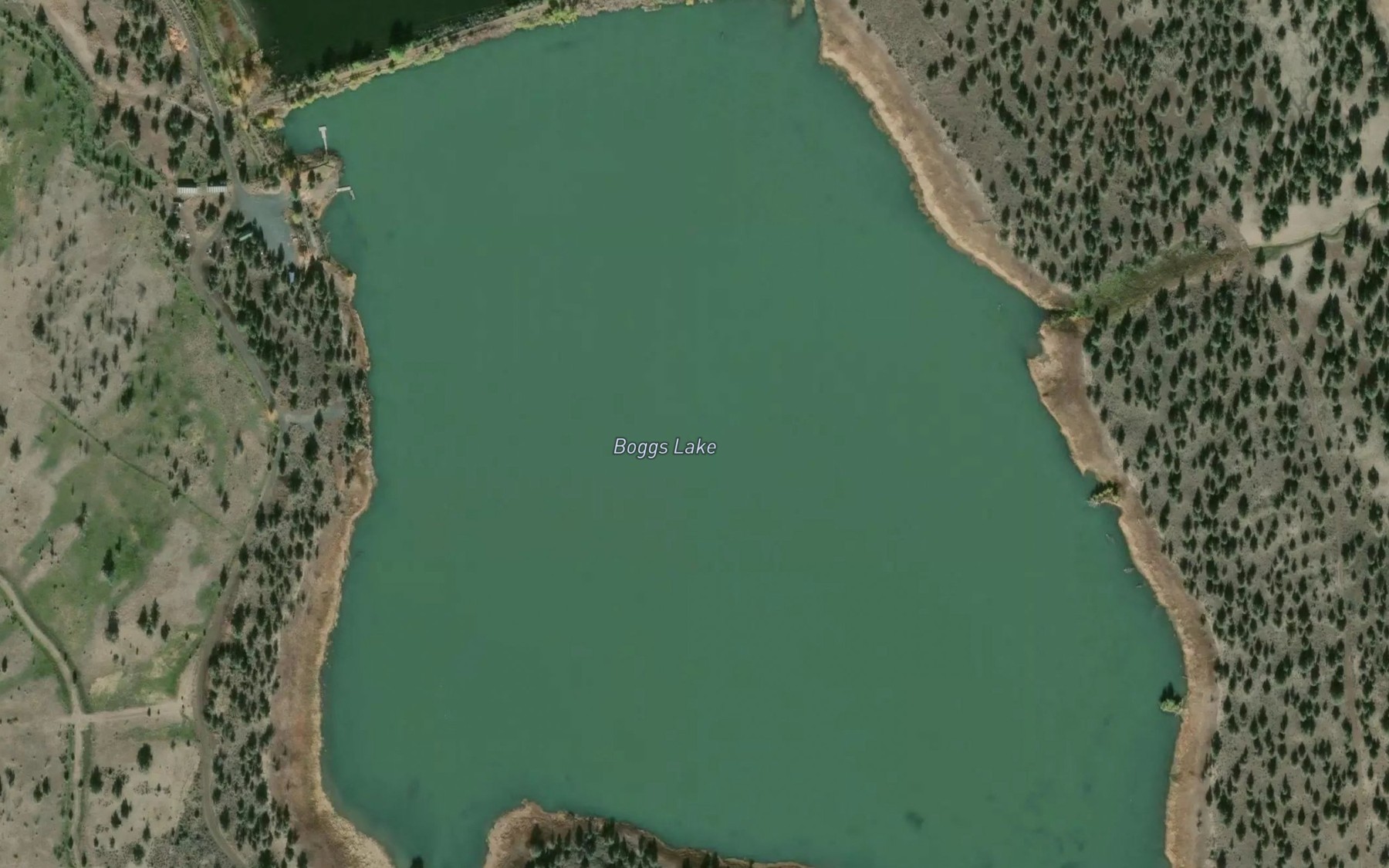 Satellite map of the Boggs Lake