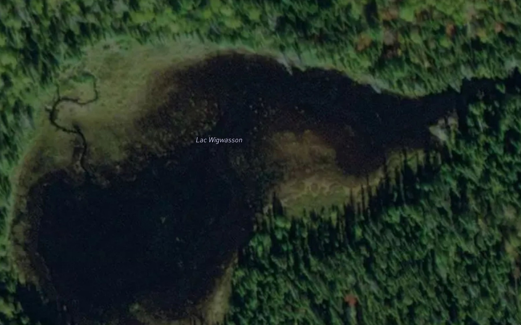 Satellite map of the Lac Wigwasson