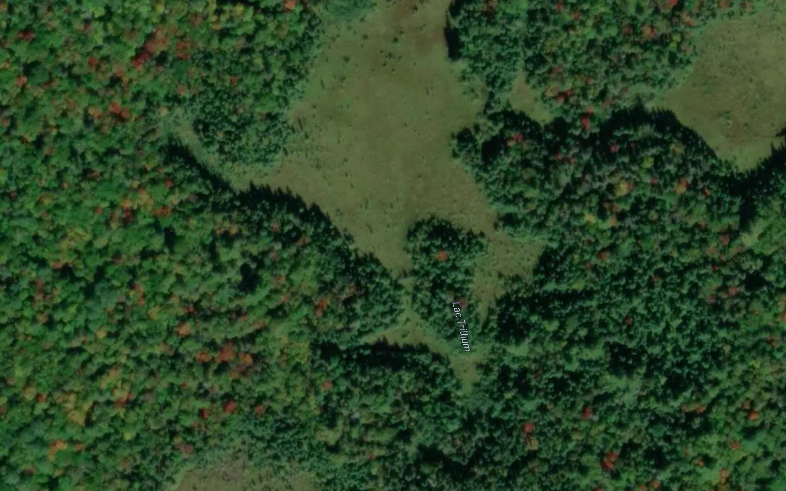 Lac Trillium