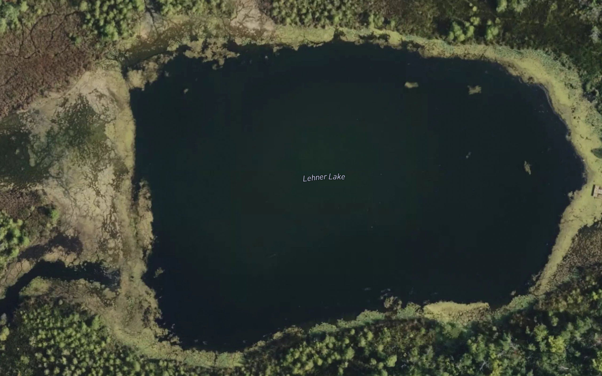 Lehner Lake