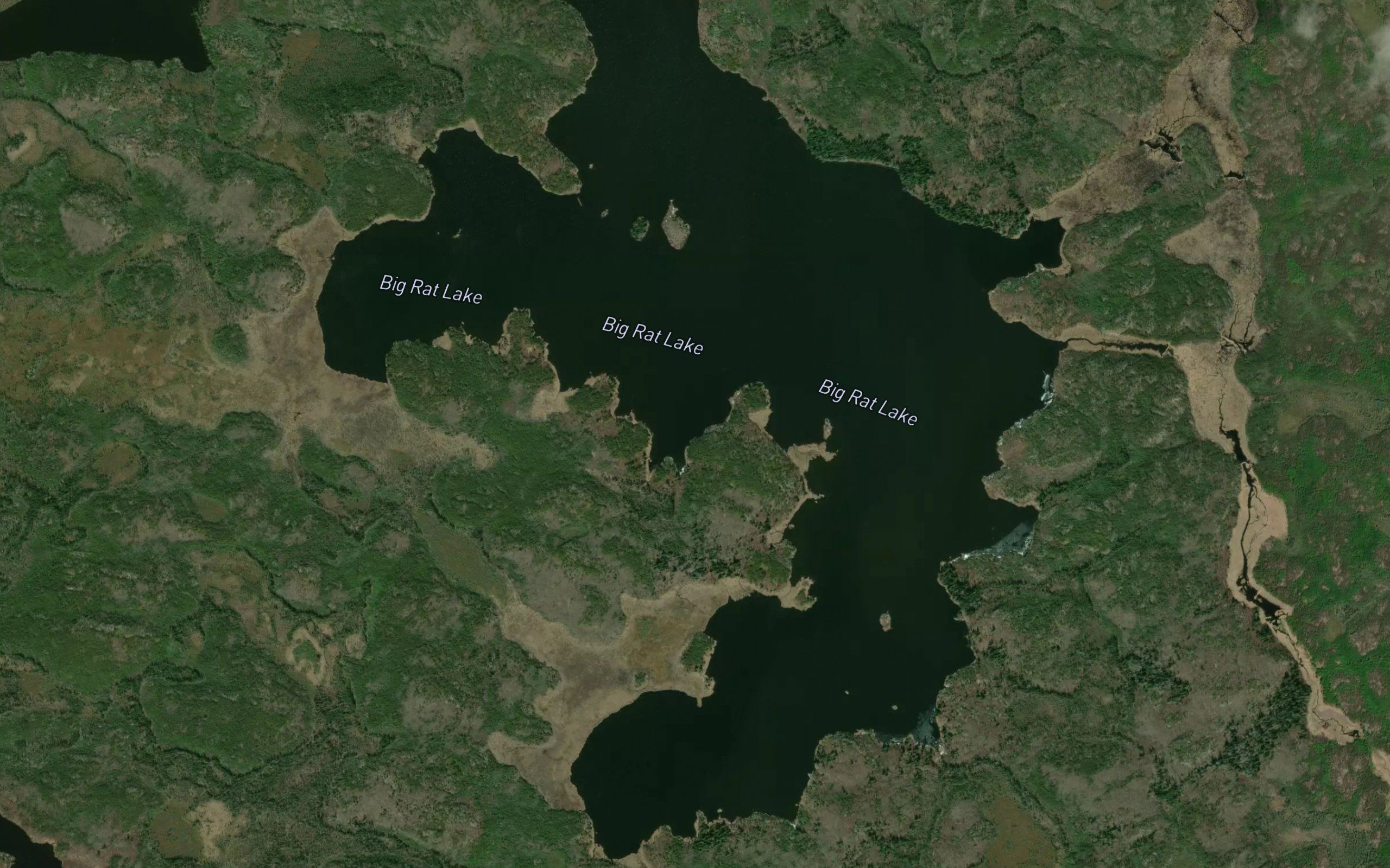 Big Rat Lake