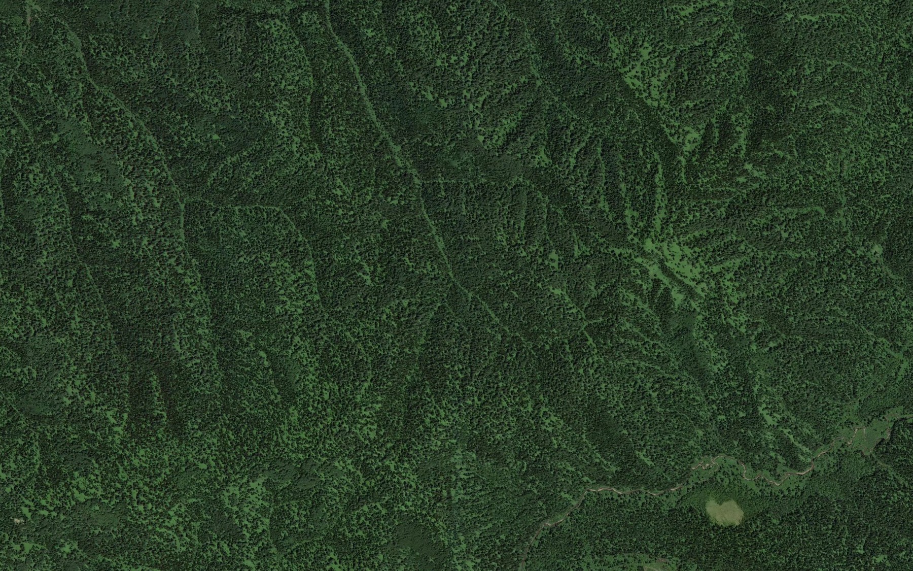Satellite map of the Rassokha
