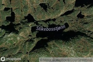 Stikebosstjonn