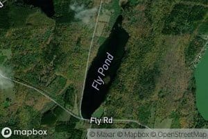 Fly Pond