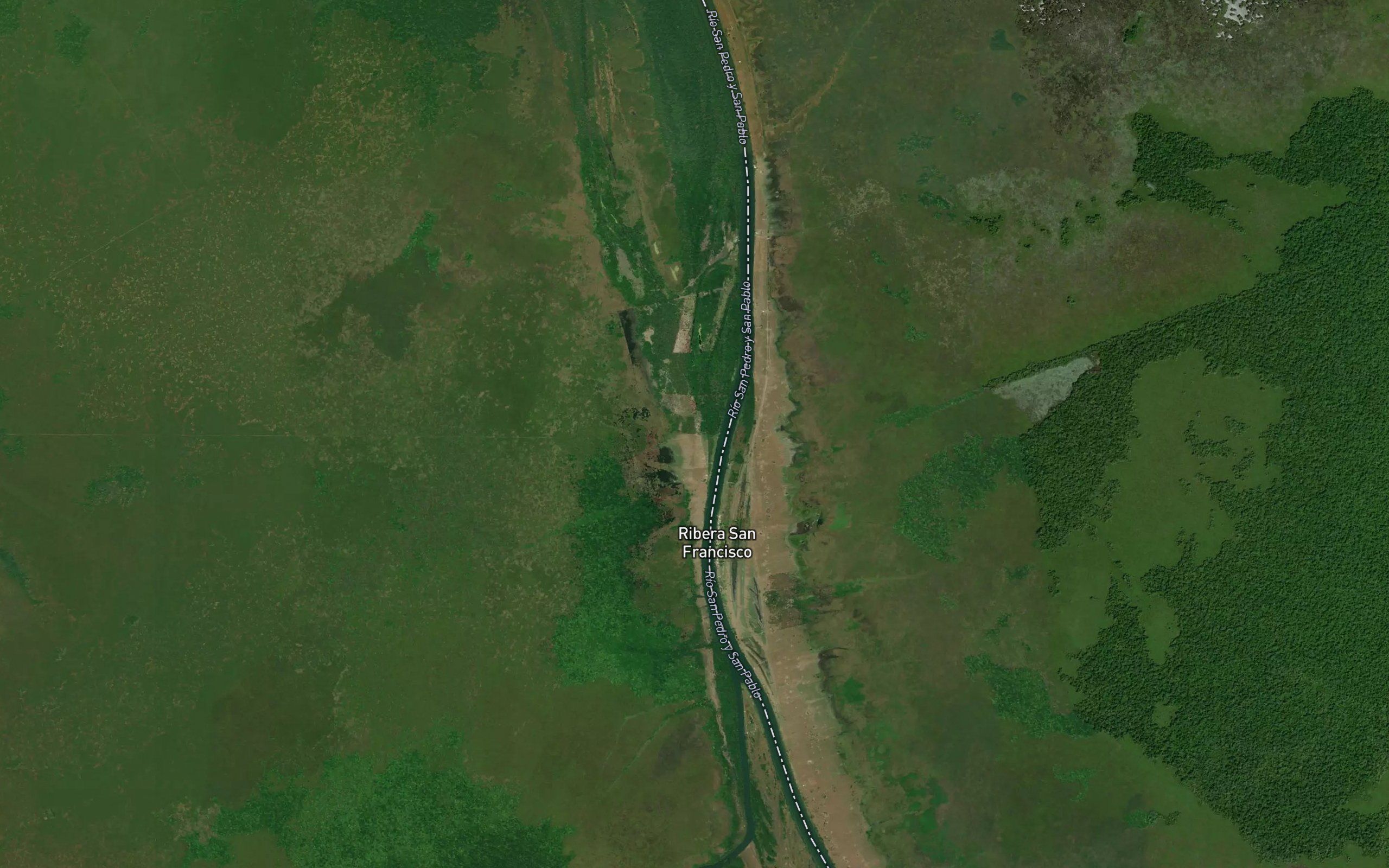 Puchitoque