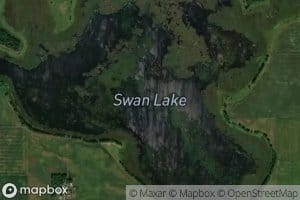 Swan Lake
