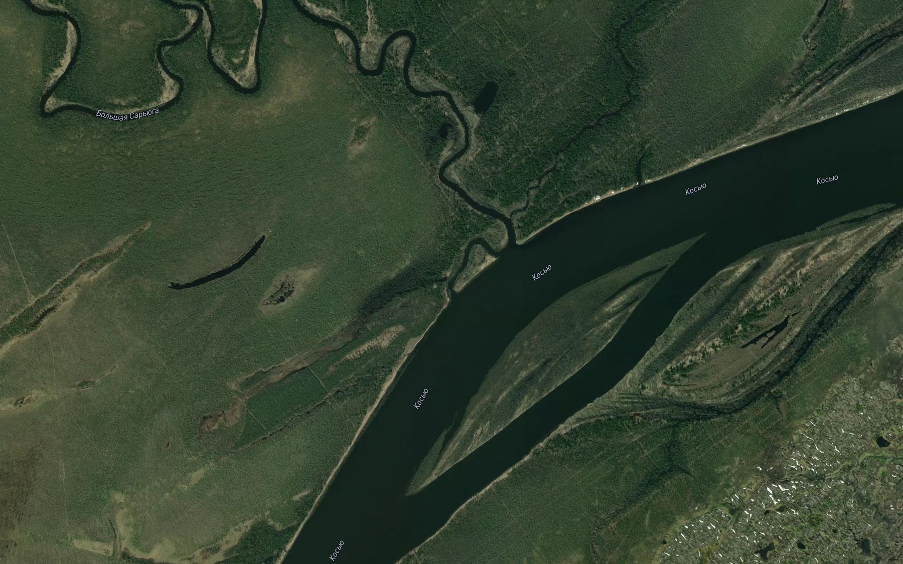 Satellite map of the Bol'shaya Sar'yuga