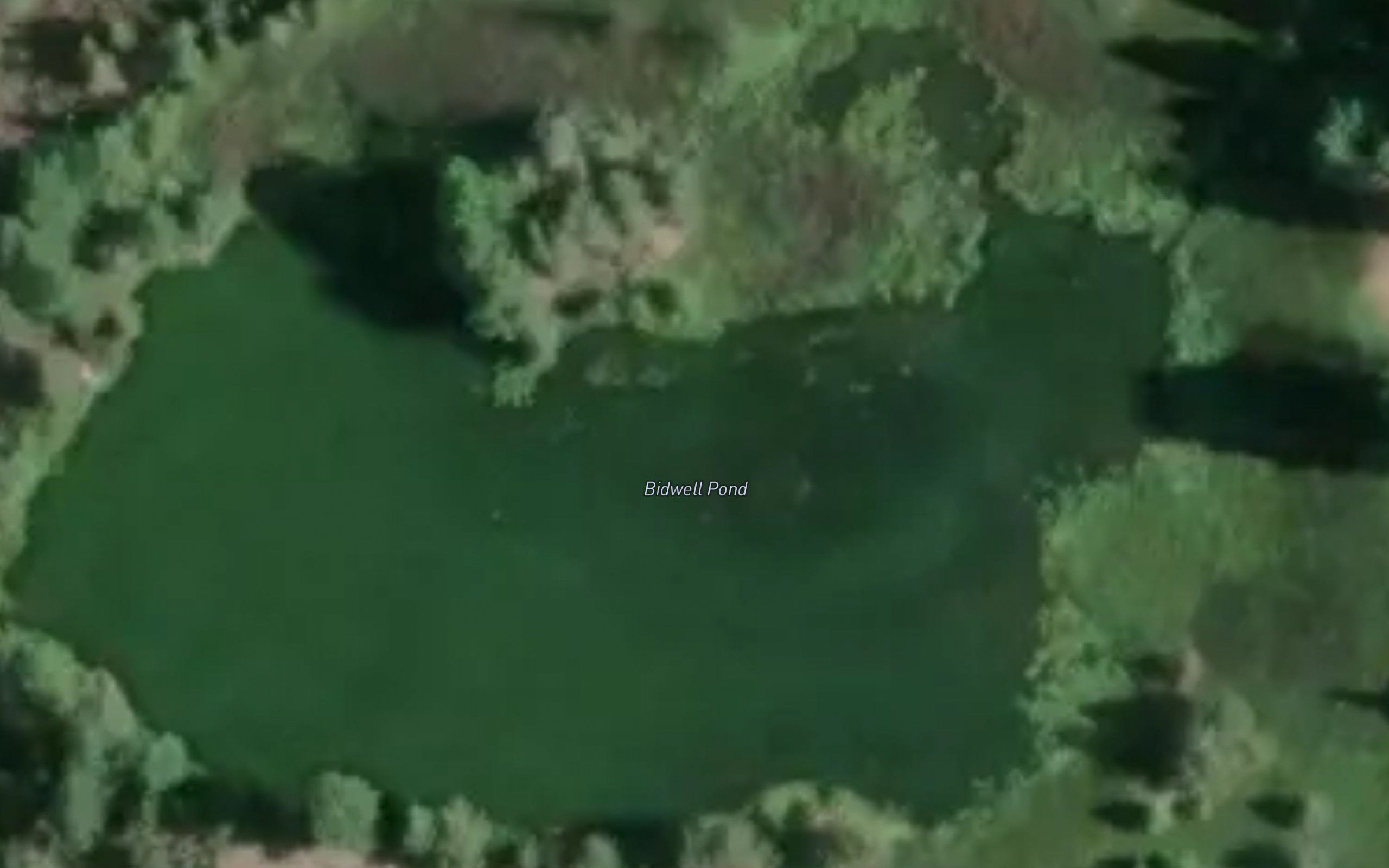 Bidwell Pond