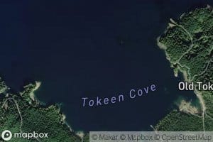 Tokeen Cove