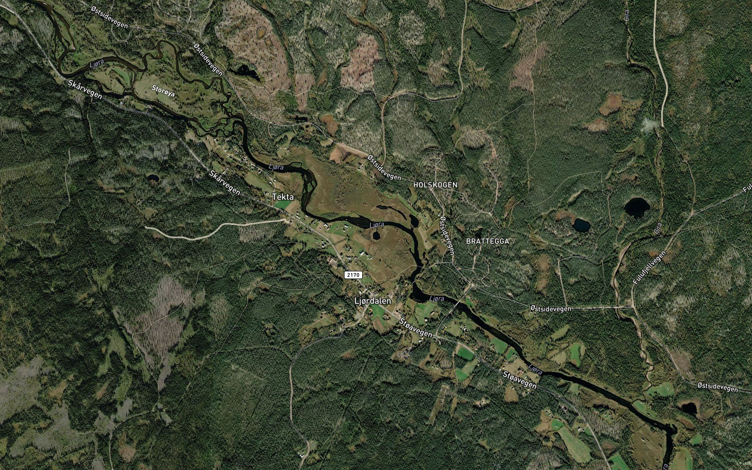 Tjonna