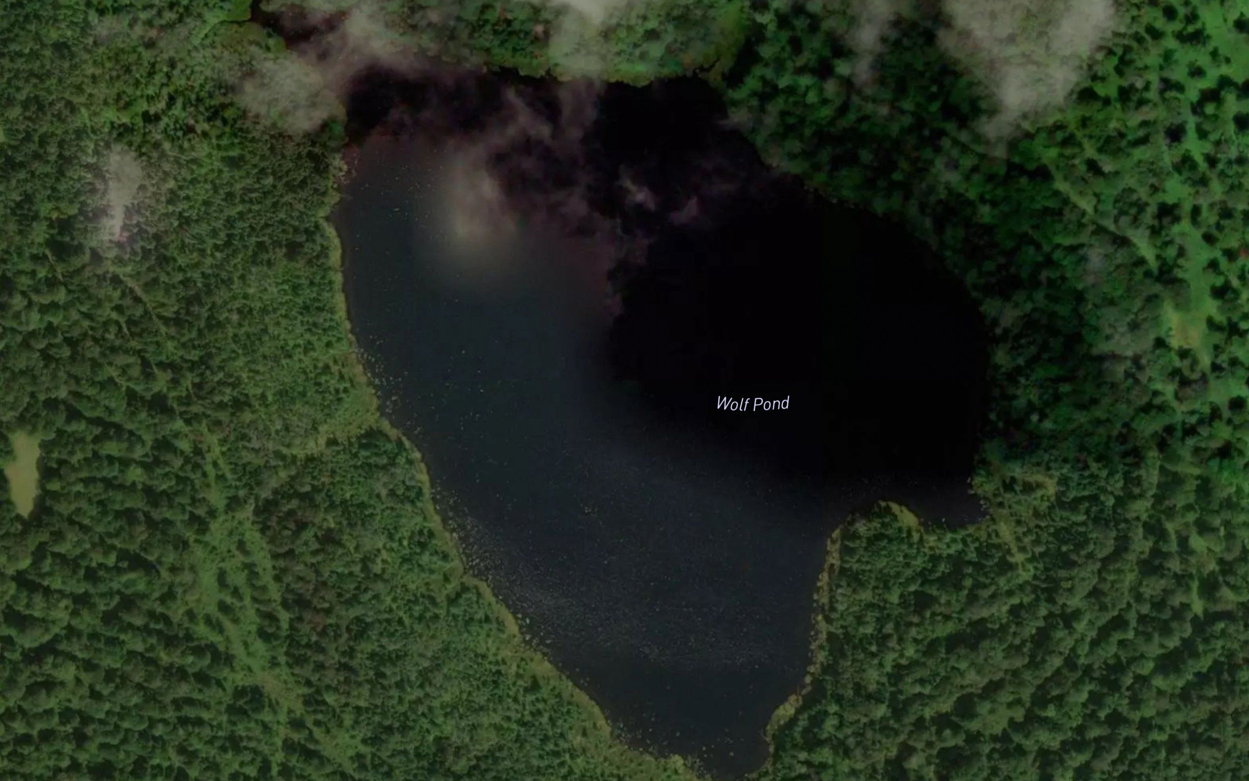 Wolf Pond