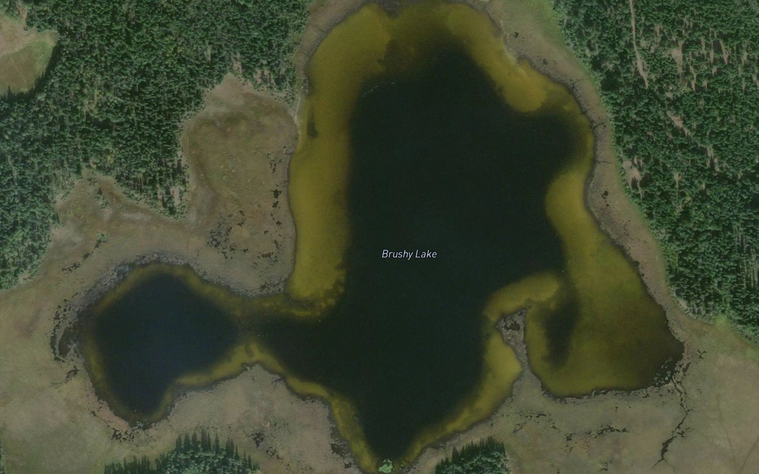 Brushy Lake