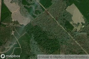 Bluff Creek
