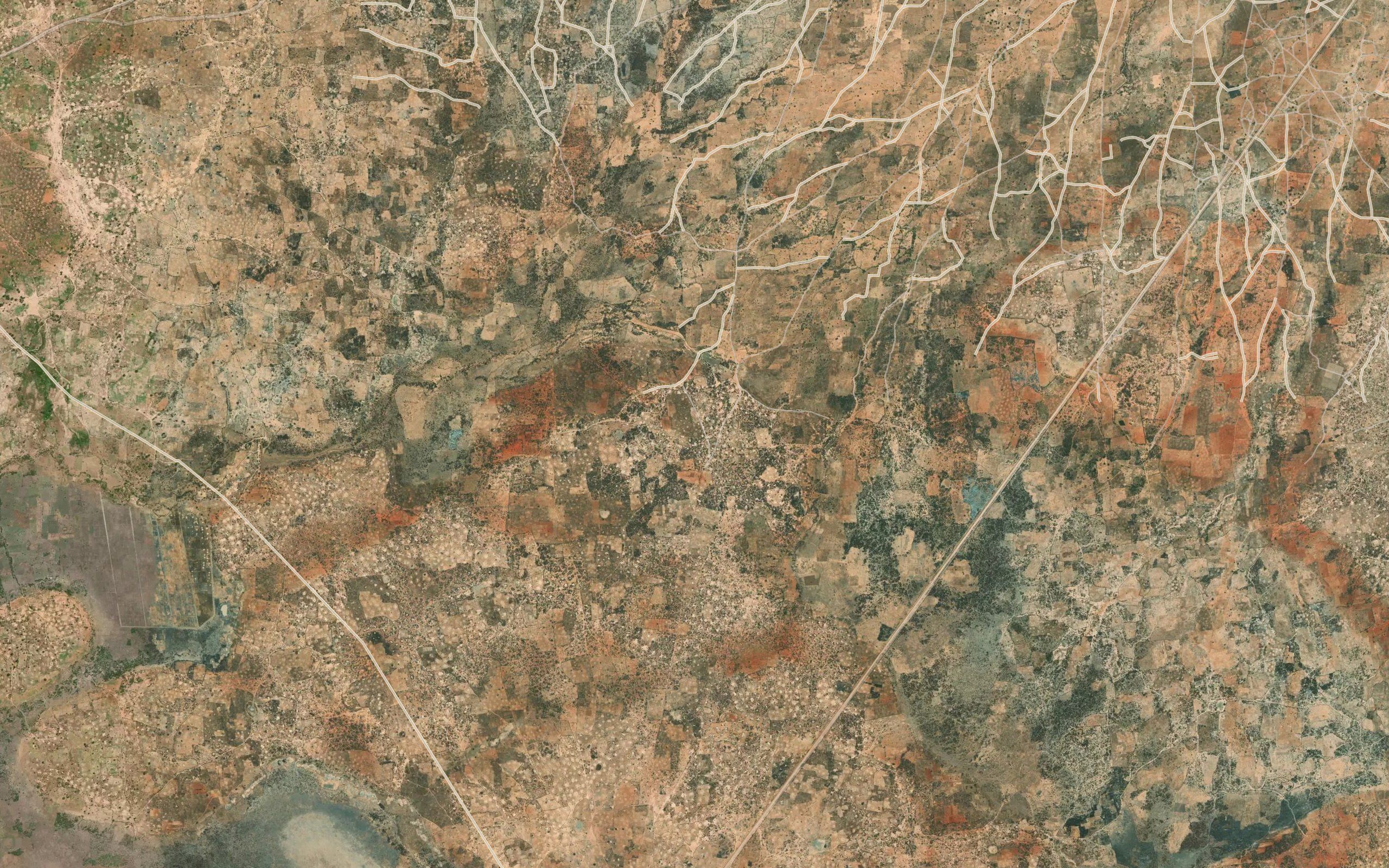 Mandima
