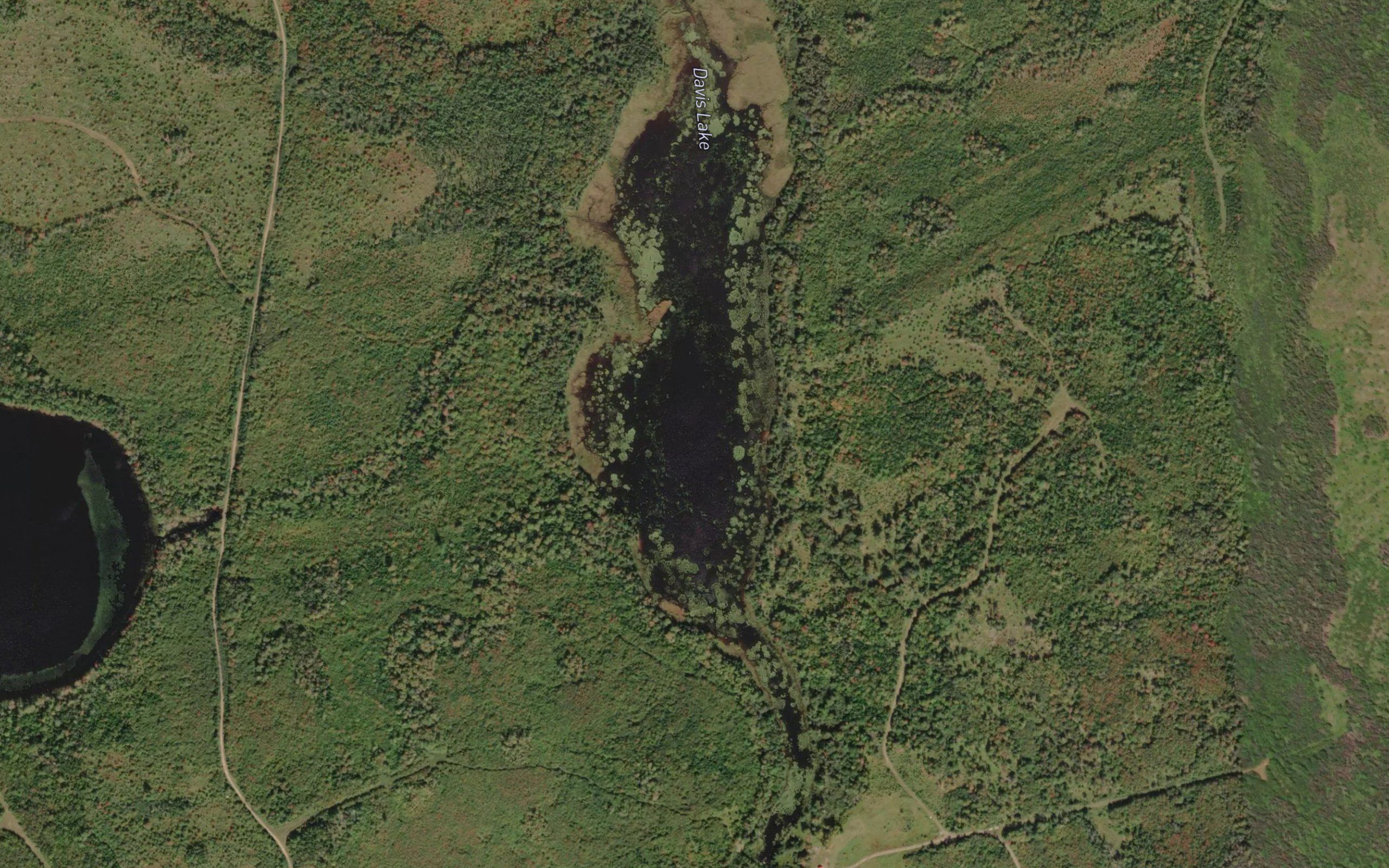 Davis Lake