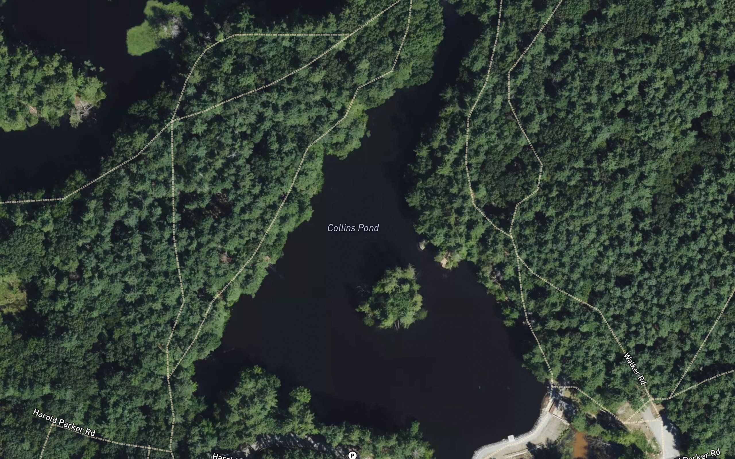 Collins Pond