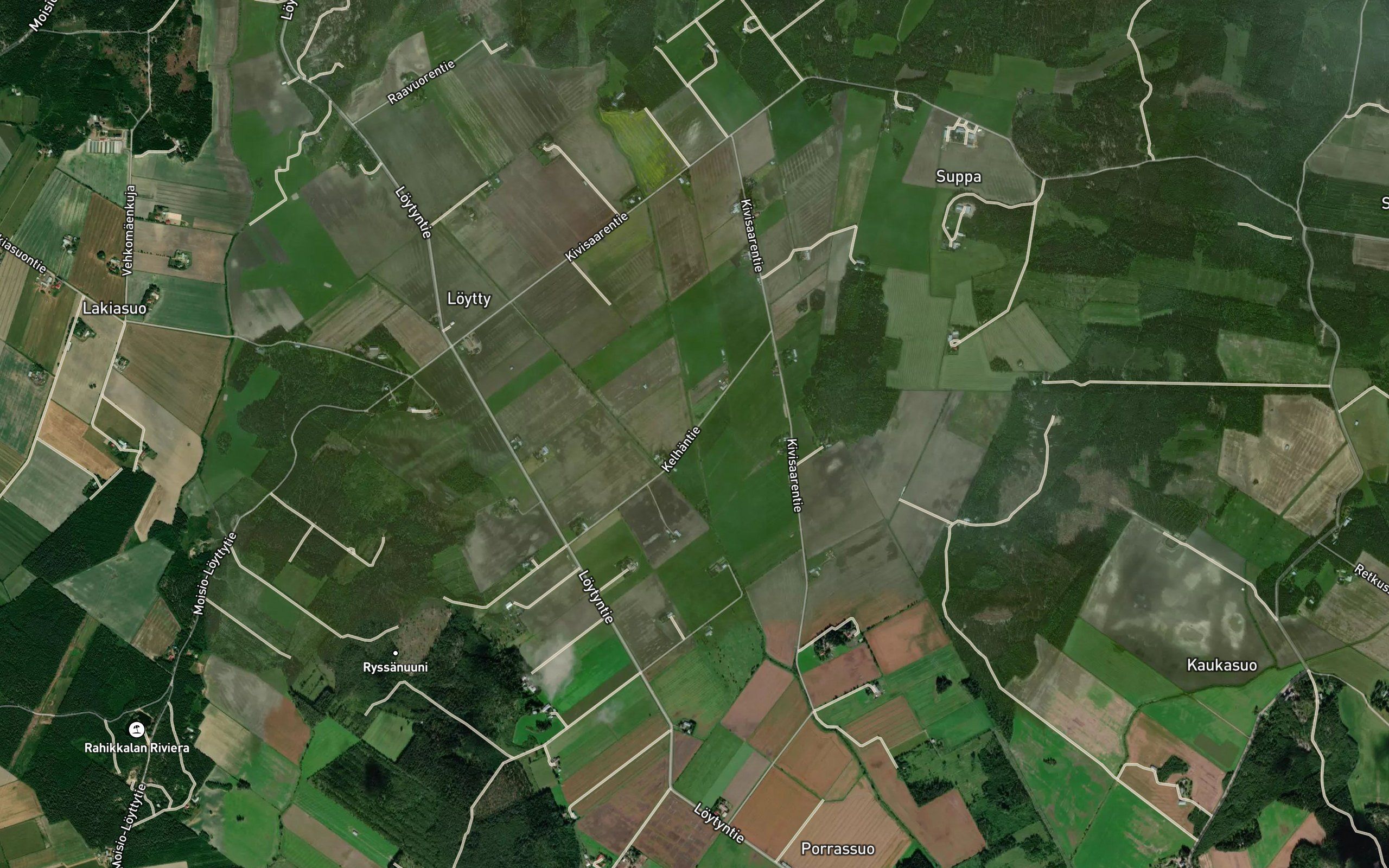 Naaranoja