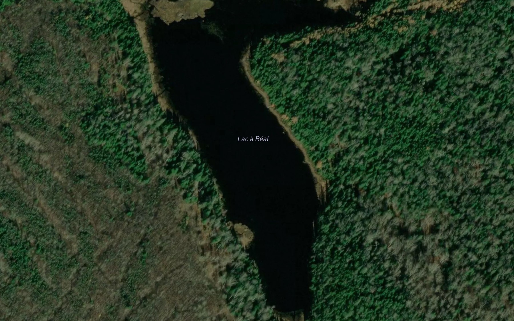 Satellite map of the Lac a Real