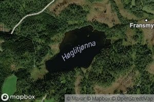 Hoglitjorna