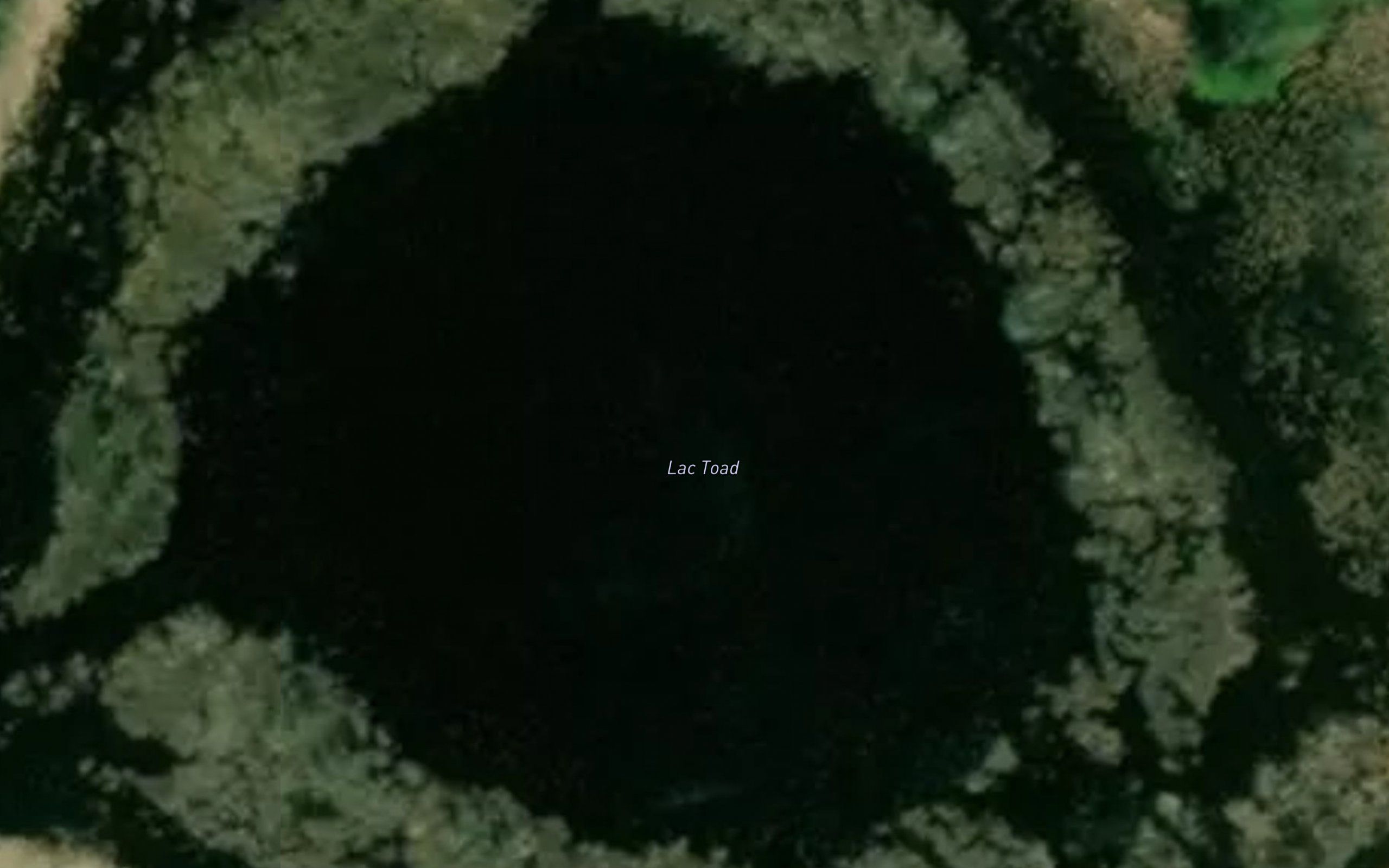 Lac Toad