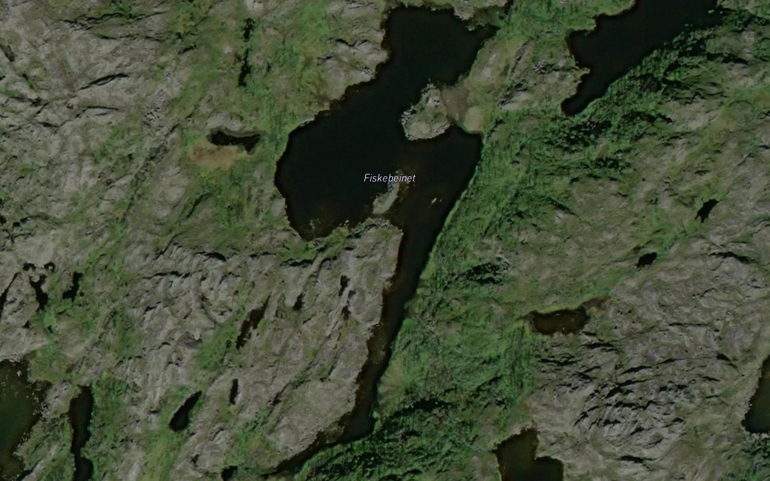 Fiskebeinet