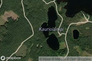 Kauriolampi