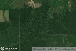 Satellite map of the Bayou Mallet