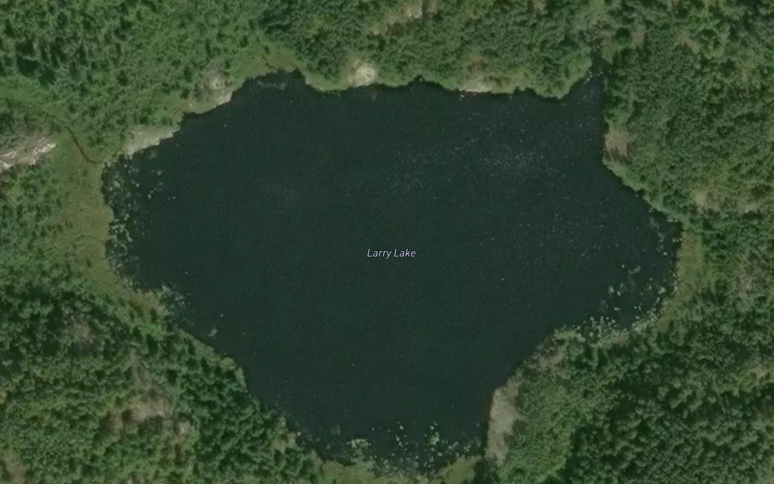 Larry Lake