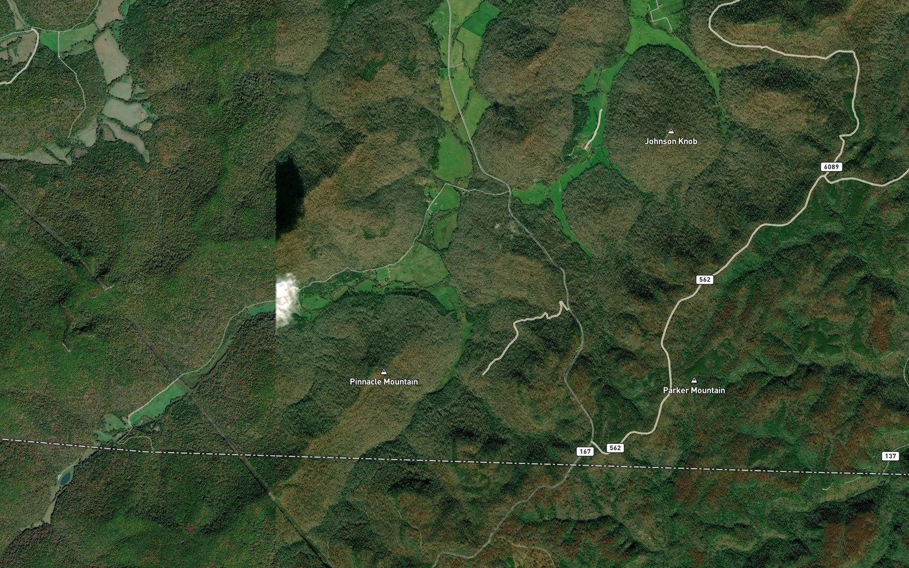 Satellite map of the Flint Fork