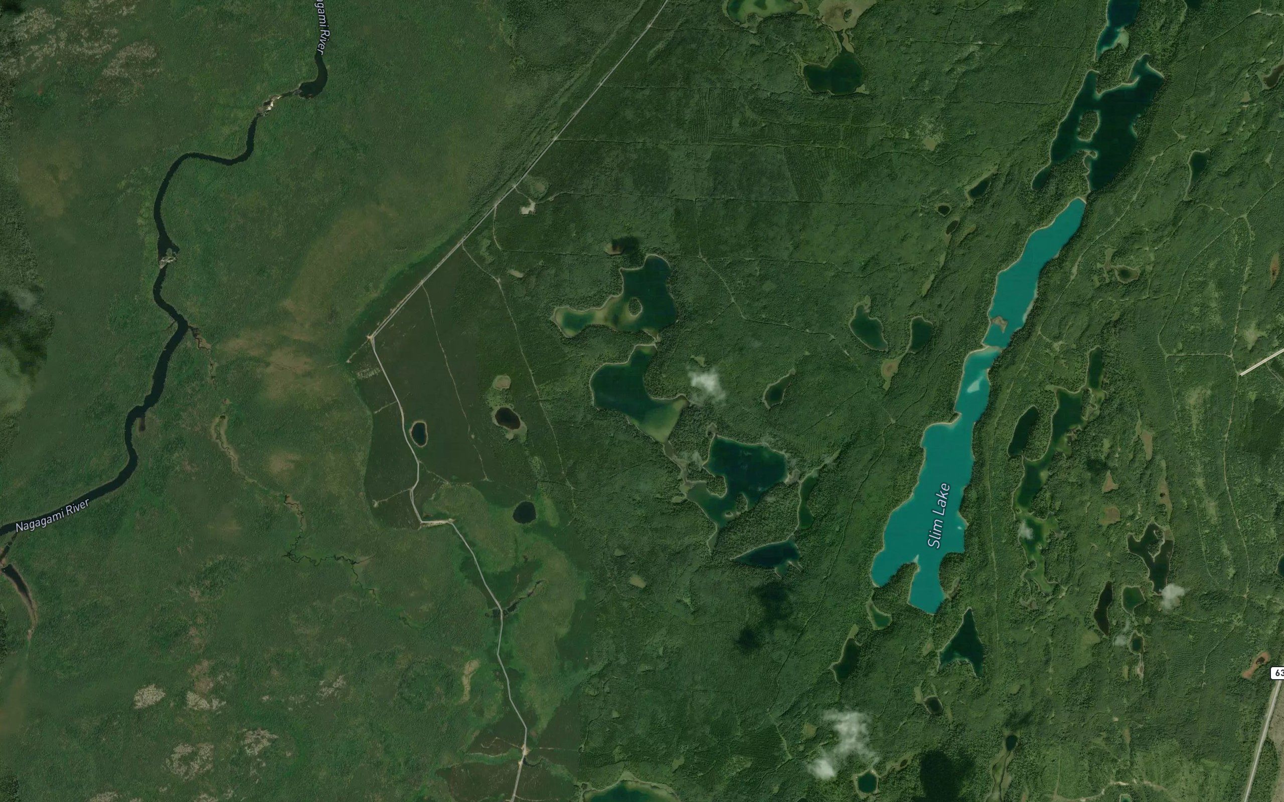 Susie Lake