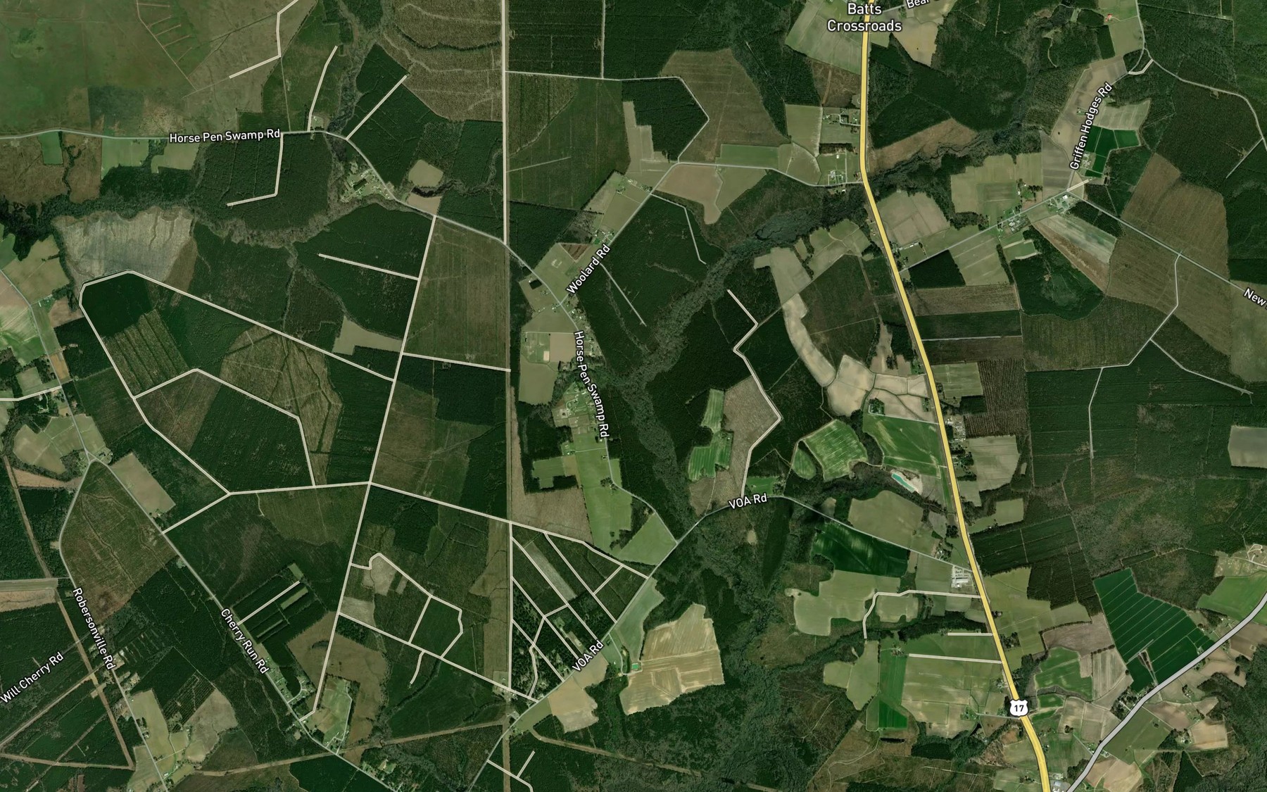 Satellite map of the Gum Swamp