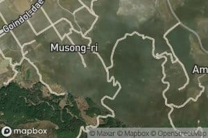 Gosanje