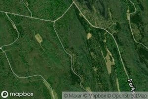 Willow Swamp