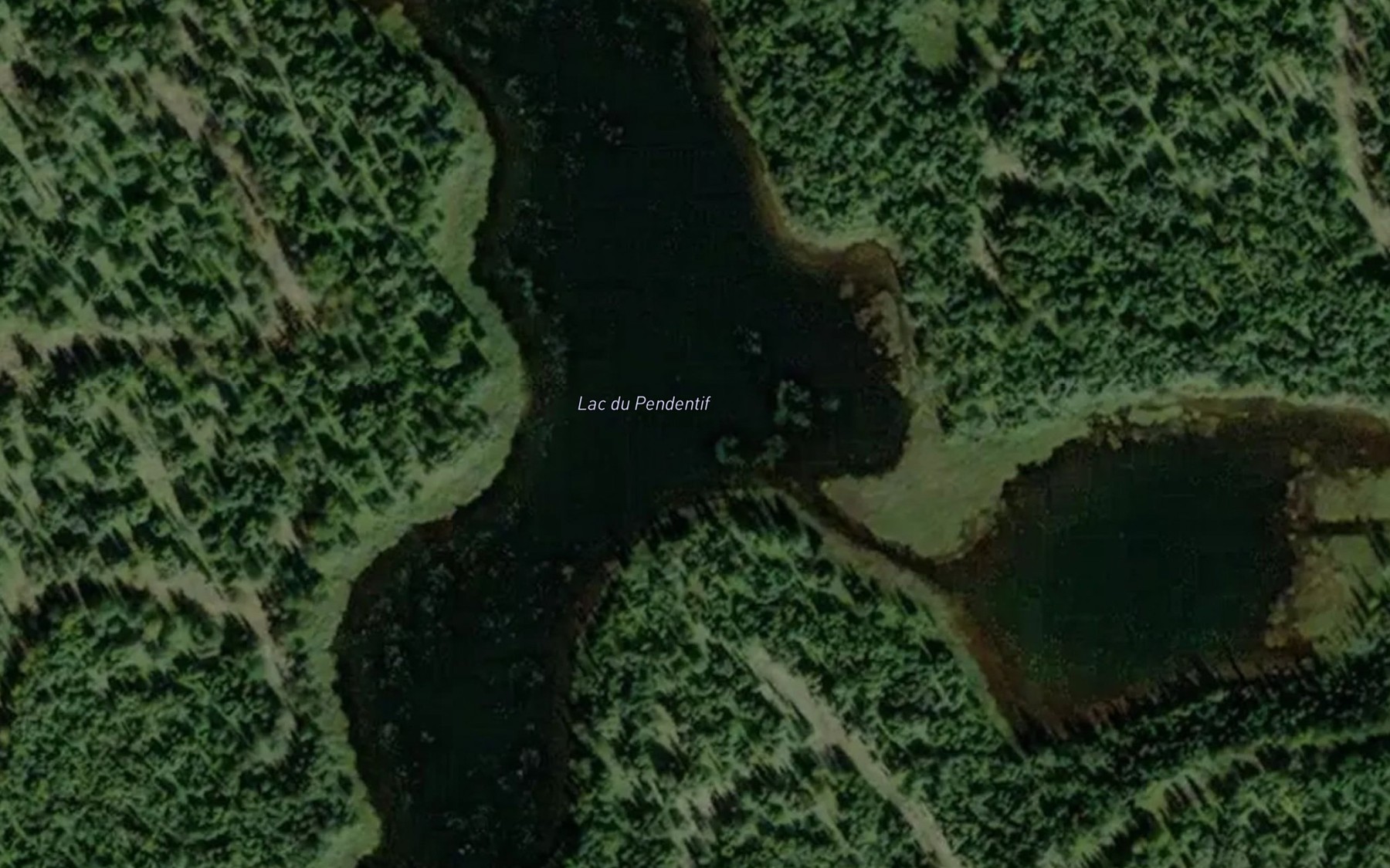 Satellite map of the Lac du Pendentif